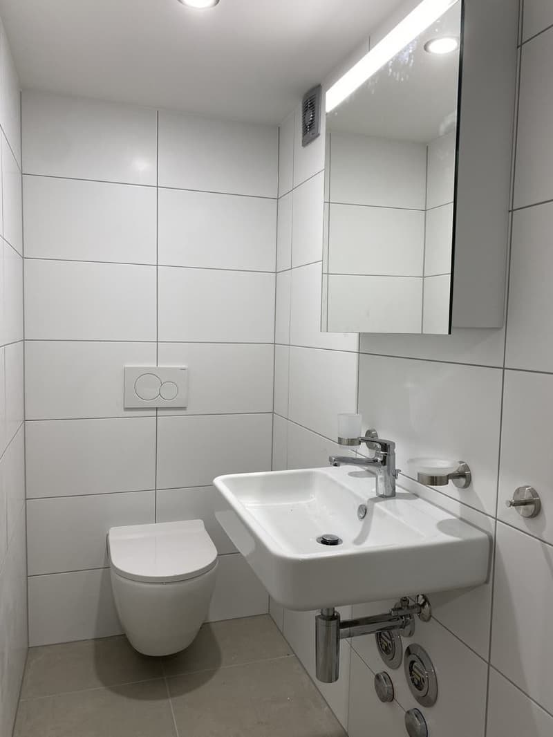 GEWERBERAUM IN CHARMANTEM WOHNHAUS ZU VERMIETEN (5)