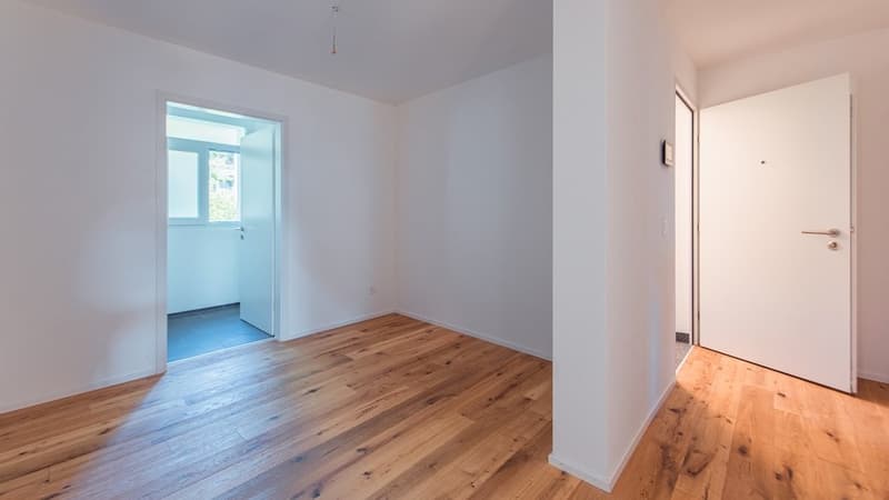 RENOVIERTE KLEINWOHNUNG MIT WASCHTURM UND BALKON- 1 MIETZINS GESCHENKT (9)