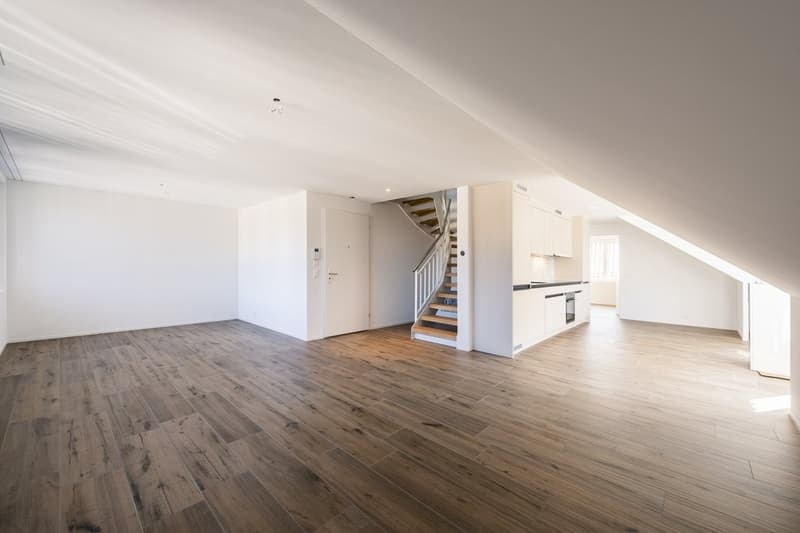 MODERNE UND GROSSZÜGIGE MAISONETTE WOHNUNG (3)