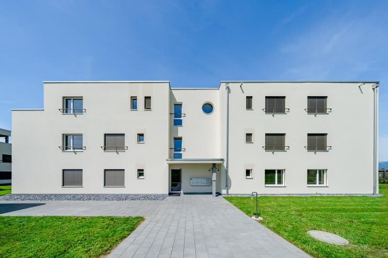 GROSSZÜGIGE UND MODERNE ATTIKA (1)