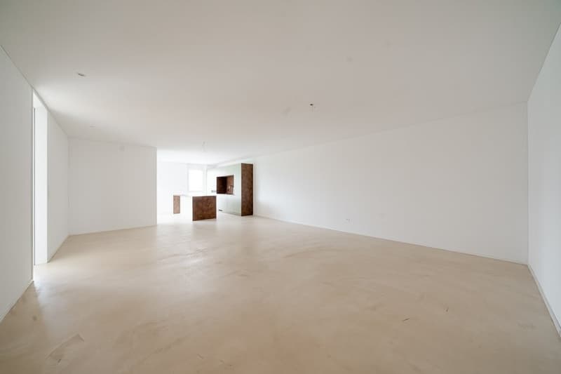 MODERNE WOHNUNG IN DER NÄHE DES BODENSEES (2)