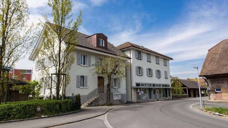 GEWERBEOBJEKT IN ZENTRALER LAGE- 2x NETTOMIETZINS GESCHENKT (3)