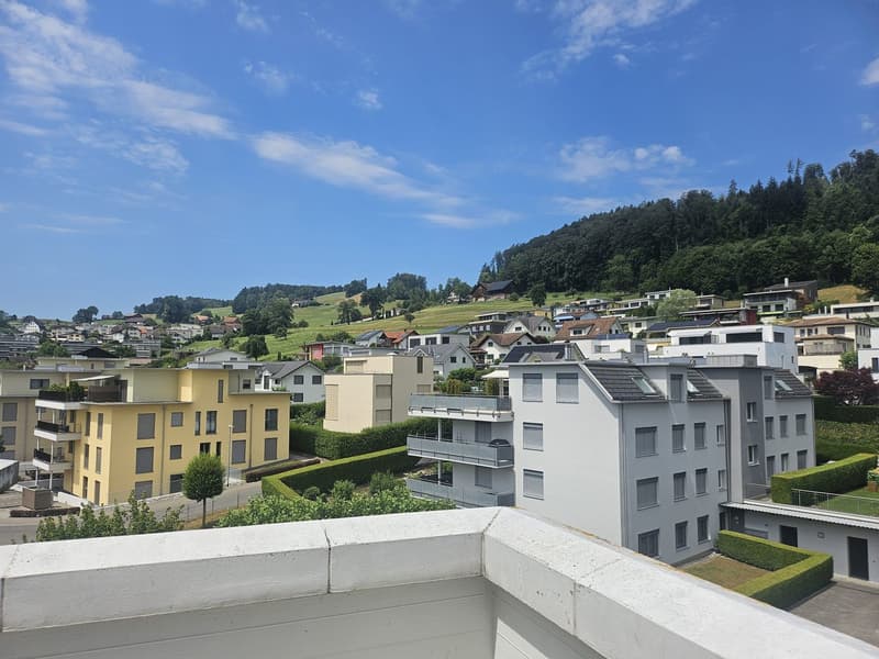 Moderne 4½-Zimmer-Attikawohnung mit umlaufender Terrasse und Weitsicht in Tuggen (2)