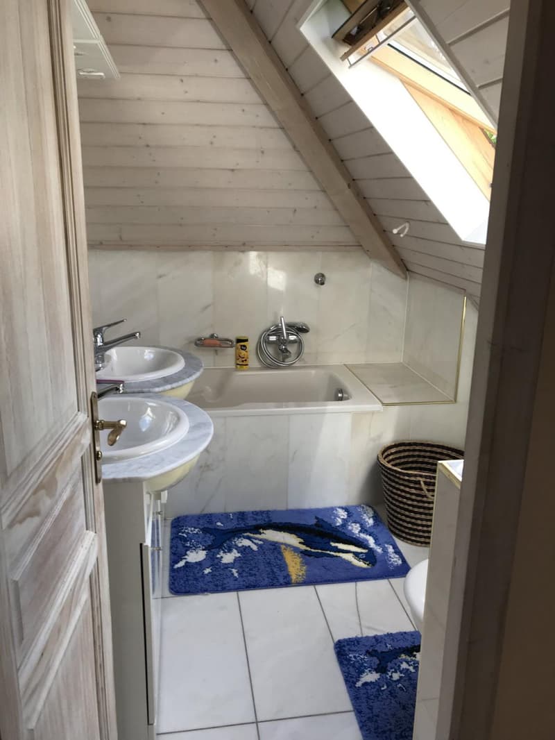 WUNDERSCHÖNES 9-ZIMMER-ANWESEN IN PETIT SACONNEX MIT GROSSEM GARTEN UND RUHE (10)