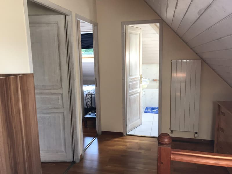 WUNDERSCHÖNES 9-ZIMMER-ANWESEN IN PETIT SACONNEX MIT GROSSEM GARTEN UND RUHE (8)