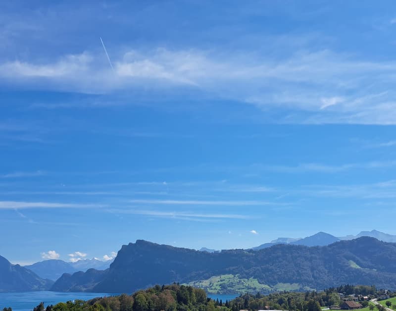 Exklusive Villa am Felmisrain in Horw – Panoramablick auf den Vierwaldstättersee (2)