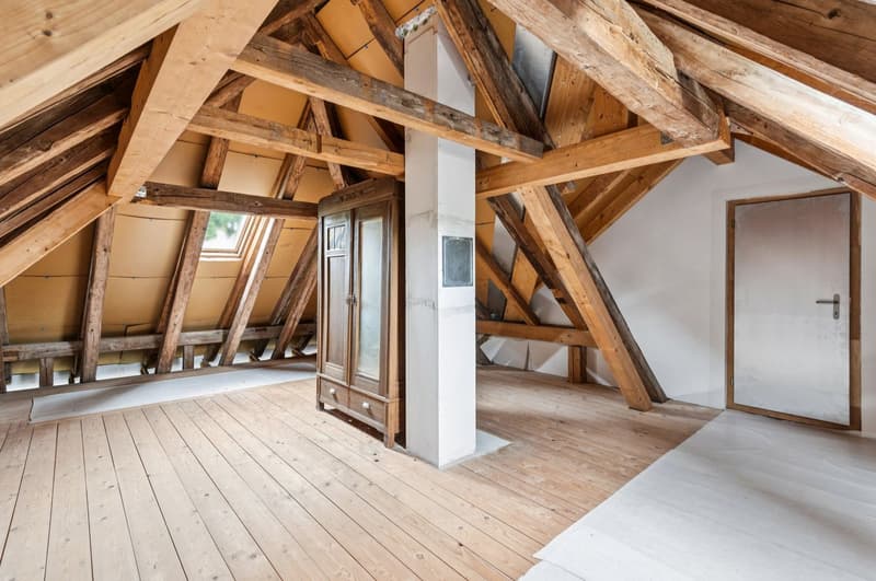 Charmante 4-Zimmer-Dachgeschosswohnung mit Balkon – ländliche Idylle, urbane Nähe (9)