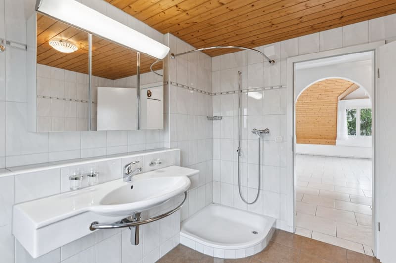 Charmante 4-Zimmer-Dachgeschosswohnung mit Balkon – ländliche Idylle, urbane Nähe (5)