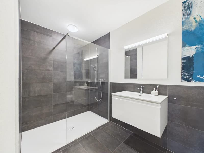 Hochwertige 2.5 Zimmer Wohnung mit grosszügigem Balkon (6)