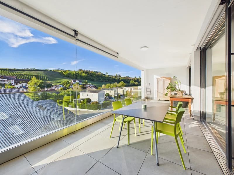 Hochwertige 2.5 Zimmer Wohnung mit grosszügigem Balkon (2)