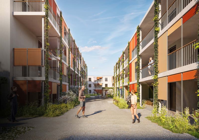 5.5-Zimmer-Wohnung mit grossem Balkon in Suhr kaufen (4)