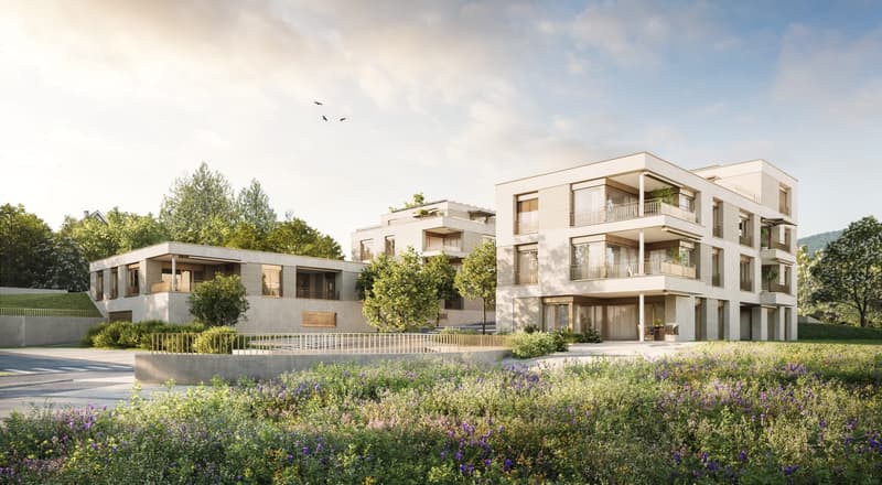 5.5-Zimmer-Penthouse mit XXL-Terrasse in Küttigen kaufen (1)