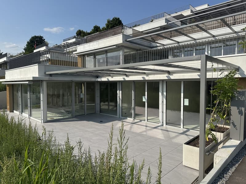 3.5-Zimmer-Terrassenhaus mit Weitsicht in Seengen kaufen (1)