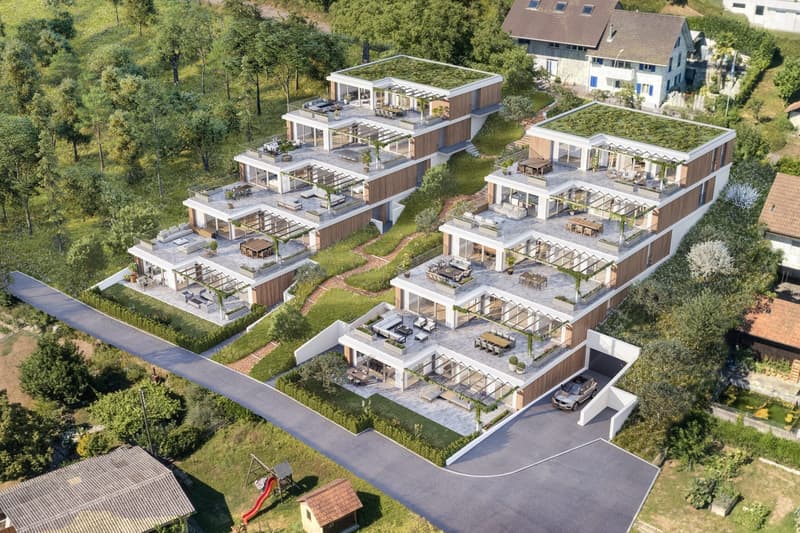 3.5-Zimmer-Terrassenhaus mit Weitsicht in Seengen kaufen (2)