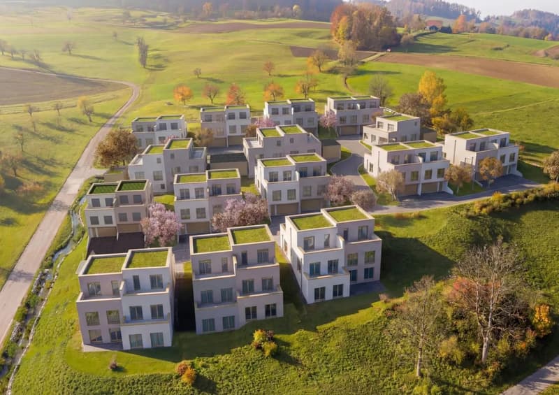5.5-Zimmer-Doppelhaushälfte mit bis zu 61 m² Terrasse in Thürnen kaufen (2)