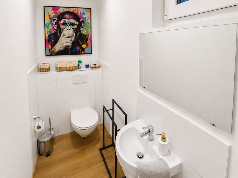 2 Häuser mit 8-Zimmer und grosser Terrasse in Kollbrunn zu verkaufen (4)