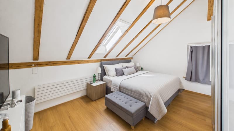 2 Häuser mit 8-Zimmer und grosser Terrasse in Kollbrunn zu verkaufen (7)