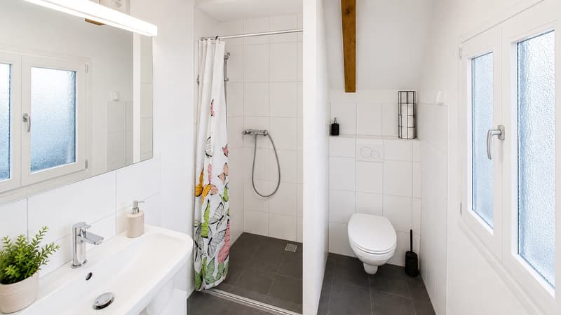 2 Häuser mit 8-Zimmer und grosser Terrasse in Kollbrunn zu verkaufen (8)