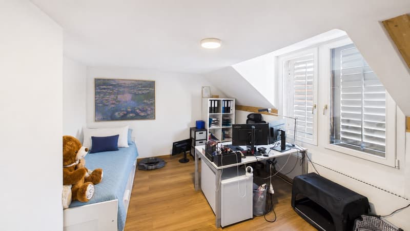 2 Häuser mit 8-Zimmer und grosser Terrasse in Kollbrunn zu verkaufen (5)