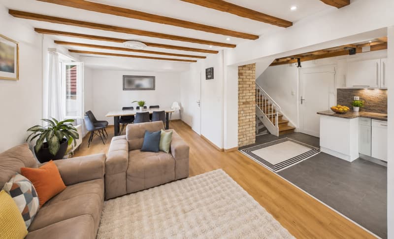 2 Häuser mit 8-Zimmer und grosser Terrasse in Kollbrunn zu verkaufen (13)