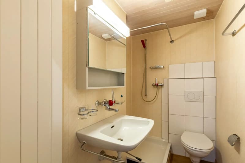Frisch renoviertes 3.5-Zi.-Doppeleinfamilienhaus in Kollbrunn mieten (8)