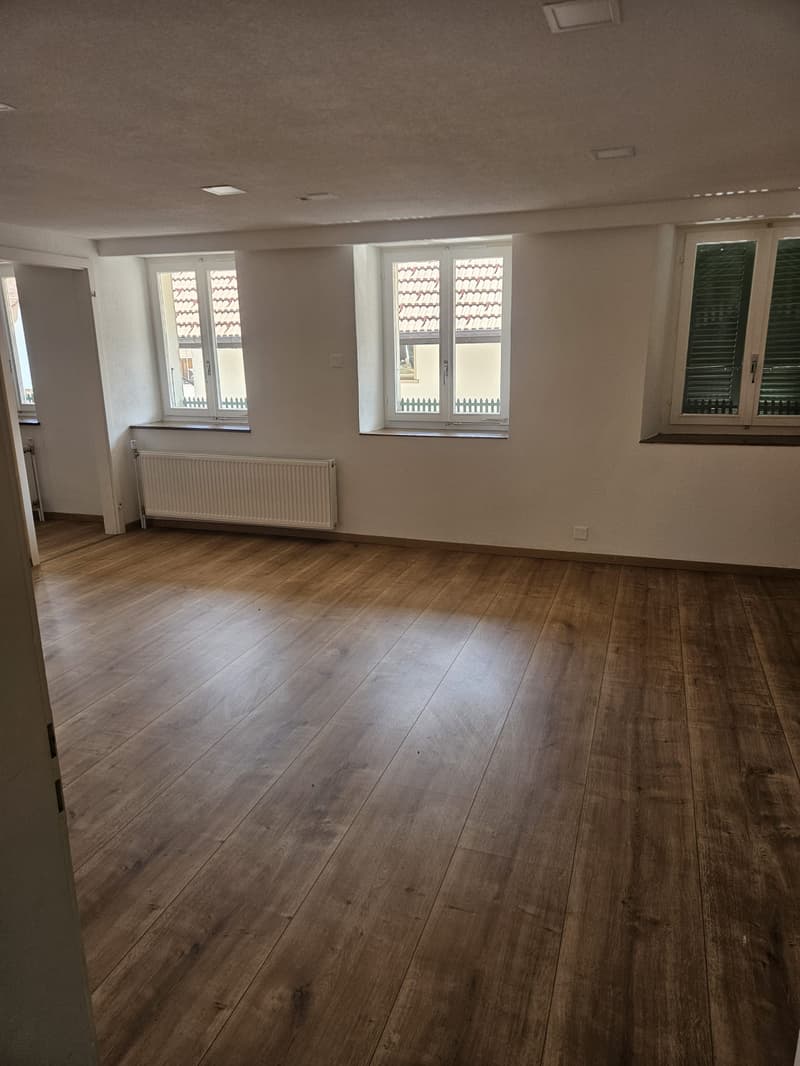 Charmante 3-Zimmer-Wohnung in Herbetswil – sofort verfügbar (7)