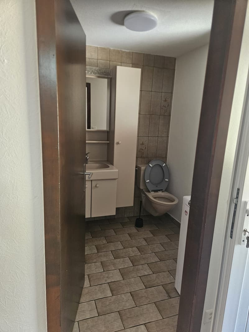Charmante 3-Zimmer-Wohnung in Herbetswil – sofort verfügbar (5)