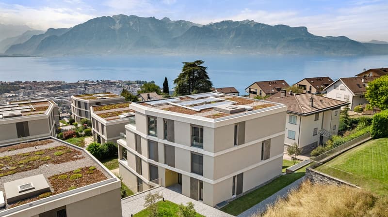 Duplex-attique d'exception avec vue panoramique sur le Léman (2)