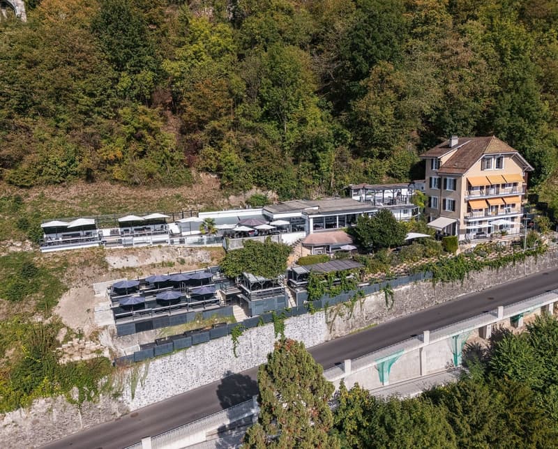Maison de caractère avec 3 logements et vue panoramique sur le Léman (11)