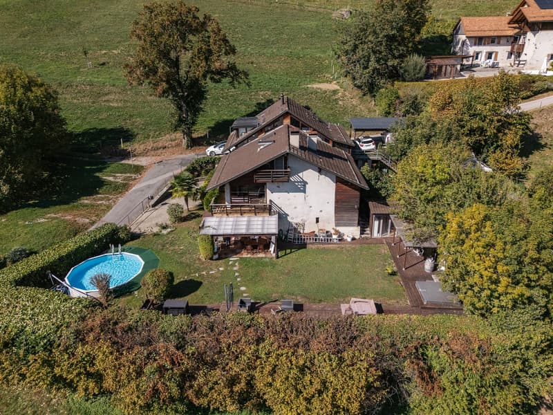 Duplex de caractère dans une ferme du XIXe siècle, face au Léman et aux Alpes (14)