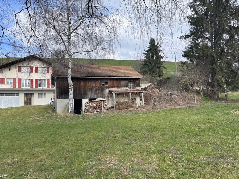 Bauland in Niedermuhlern – Grundstück 1'300 m² für 4 x EFH (4)