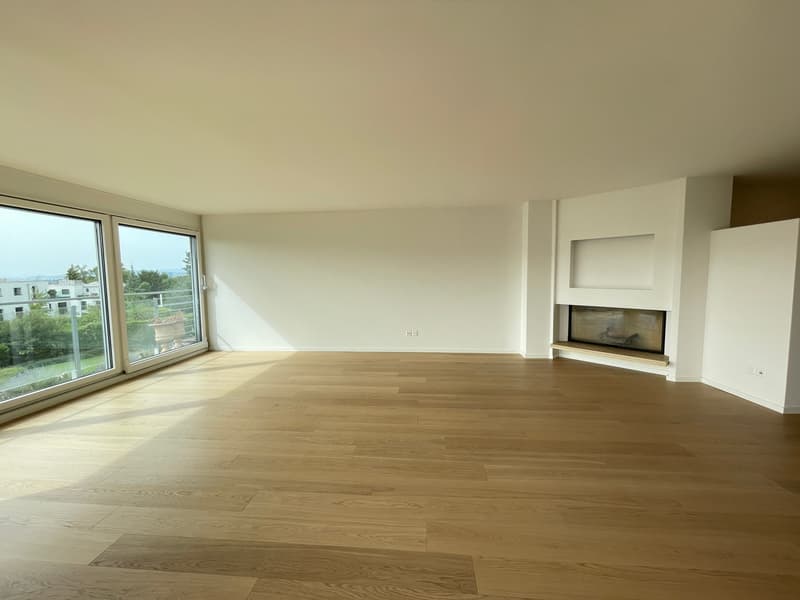 Residenz in Zollikon mit Seesicht (7)