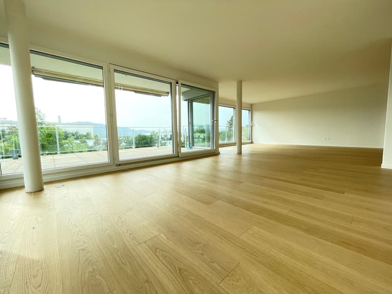 Residenz in Zollikon mit Seesicht (8)