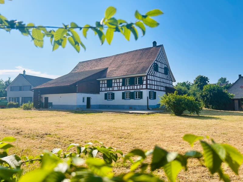 Charmantes Bauernhaus mit viel Potenzial! Pfyn TG (1)
