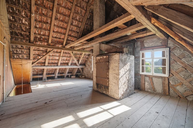 Charmantes Bauernhaus mit viel Potenzial! Pfyn TG (4)