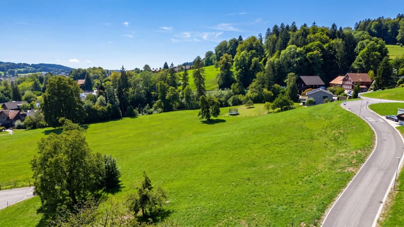 Wo Aussicht Zukunft wird (3)