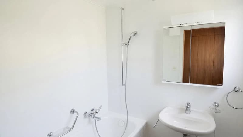 8-Zimmer-Einfamilienhaus mit Garten in Buchs SG kaufen (10)