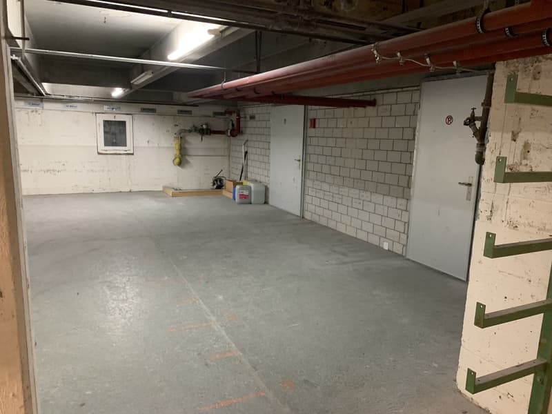 Lager- und Logistikfläche mit Hallenkran und Warenannahme in Villmergen (5)