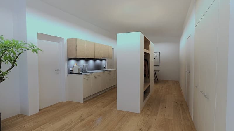 Typ 1 Küchenvisualisierung