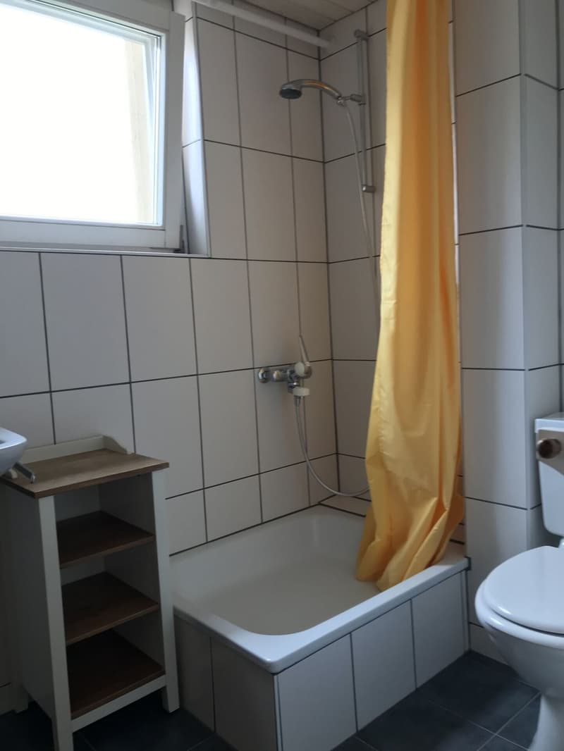 1 ZIMMERWOHNUNG MIT SEP. BAD - IDEAL FÜR WOCHENAUFENTHALTER (8)