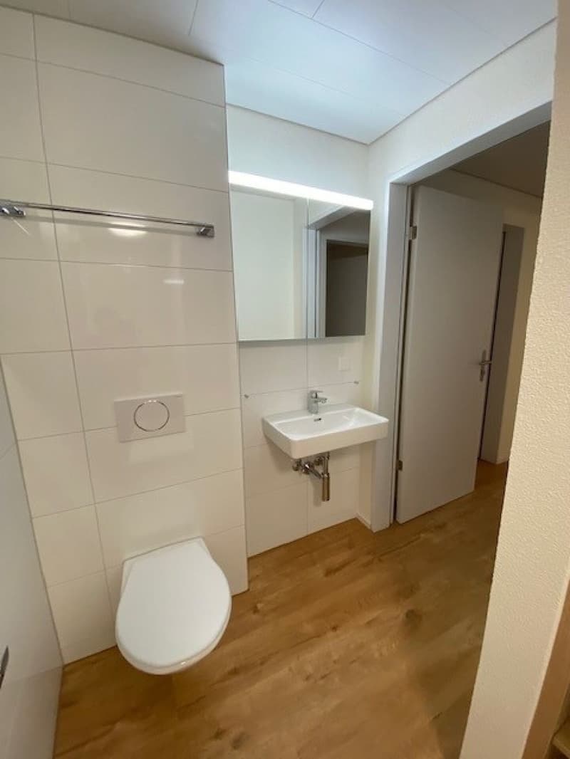 2.5 ZIMMERWOHNUNG AN RUHIGER LAGE (9)