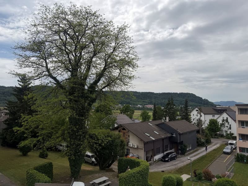 Aussergewöhnliche Dach-Maisonettewohnung im idyllischen Römerhof (10)