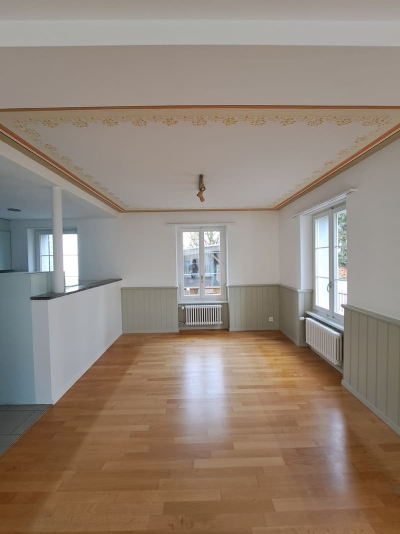 Freistehendes Zweifamilienhaus mit Charakter in Wettingen (12)