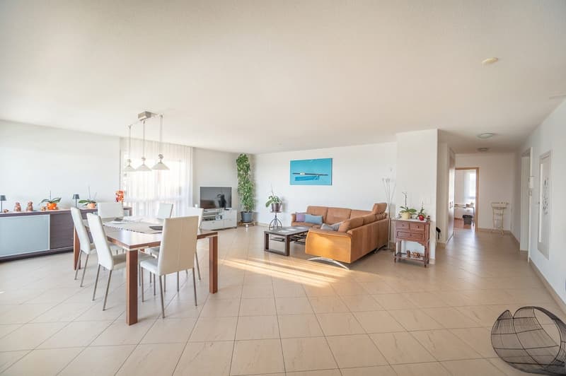 Duplex-attique de 5,5 pièces (2)