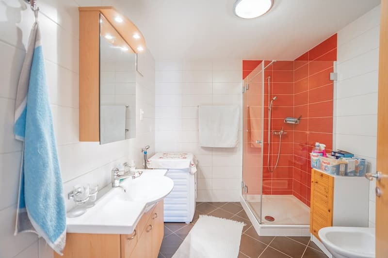 Duplex-attique de 5,5 pièces (5)