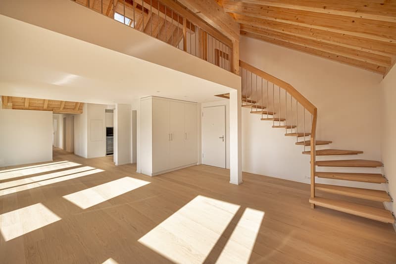 Grosszügige 5.5-Zimmer-Attikawohnung mit einzigartigem Maisonette-Charme (3)