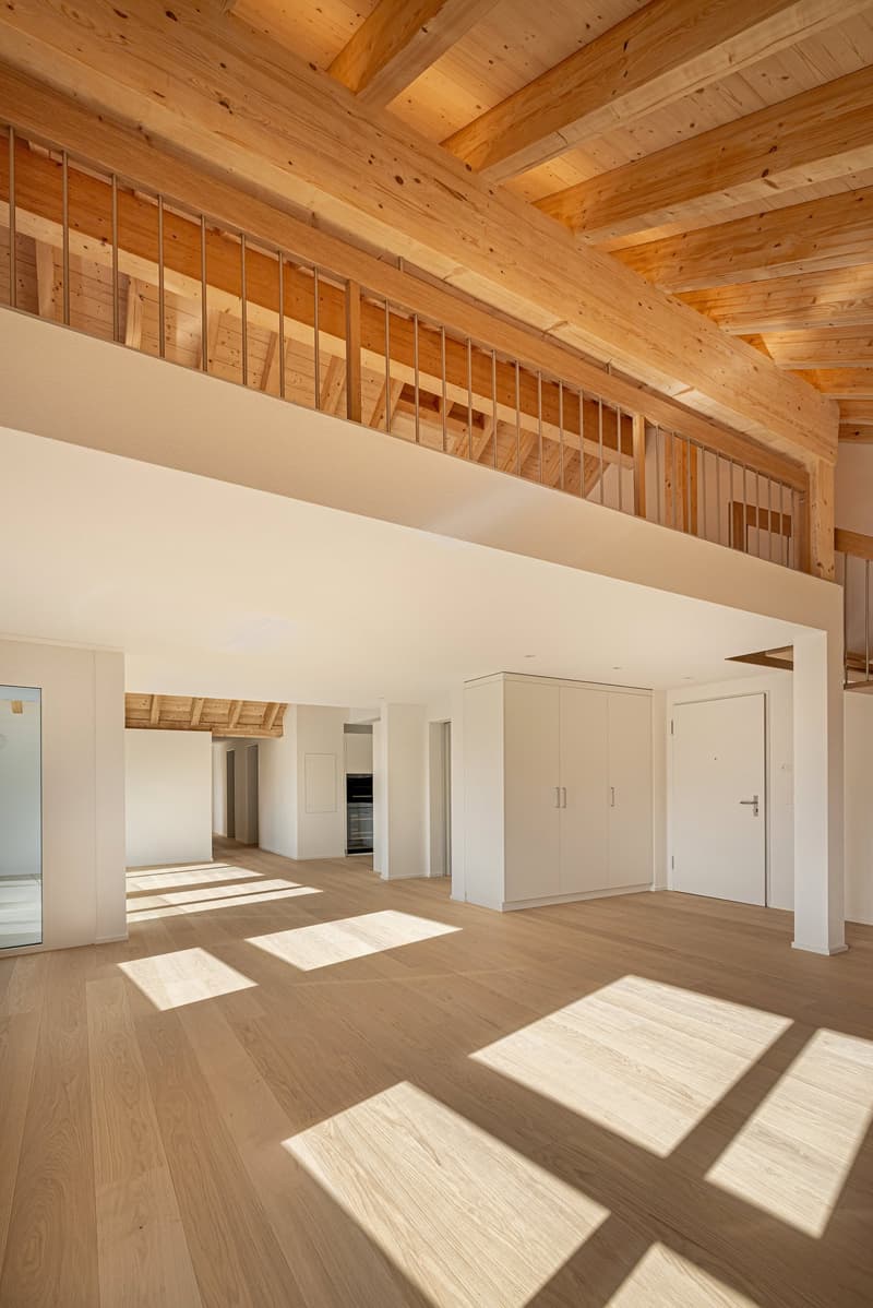 Grosszügige 5.5-Zimmer-Attikawohnung mit einzigartigem Maisonette-Charme (5)
