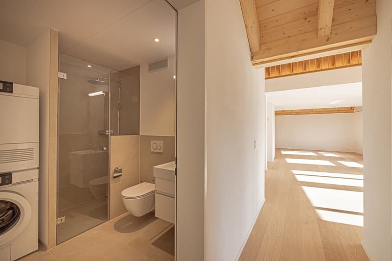 Grosszügige 5.5-Zimmer-Attikawohnung mit einzigartigem Maisonette-Charme (10)