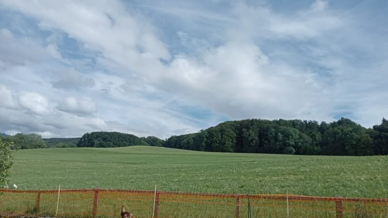 Villa mitoyenne 5.5 pièces en pignon livraison été 2027 (3)