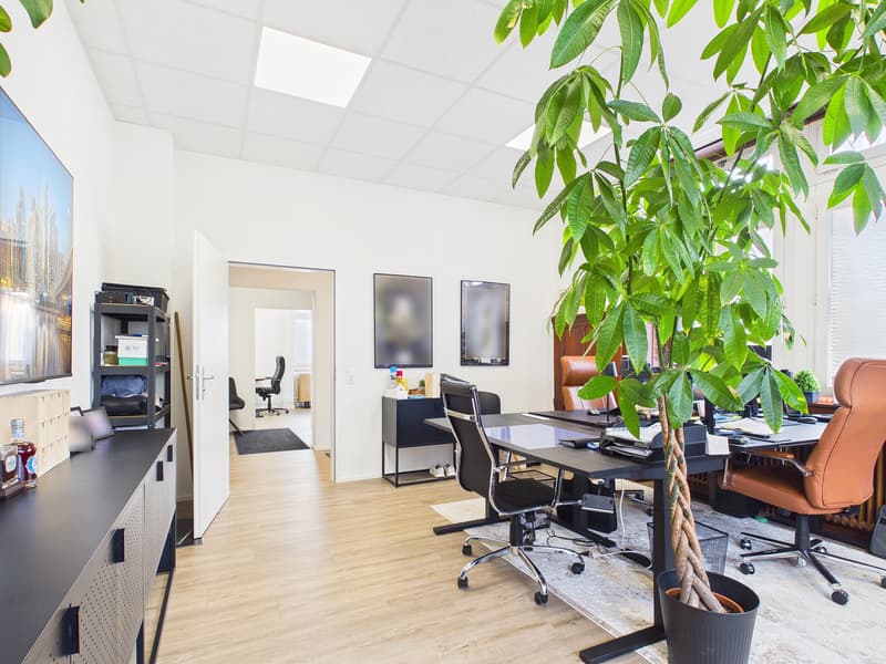 Repräsentative Bürofläche in Rheinfelden (9)